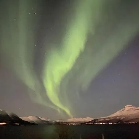 Northern Light