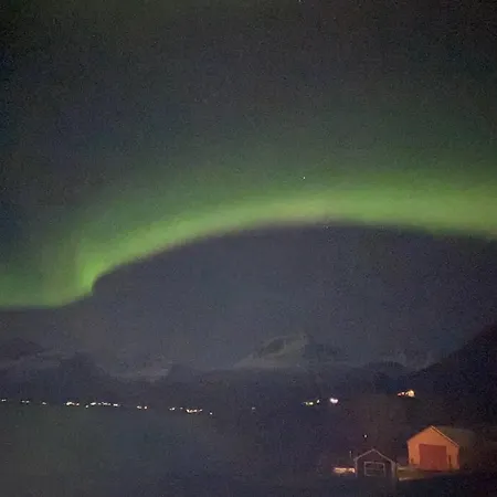 Апартаменты Northern Light