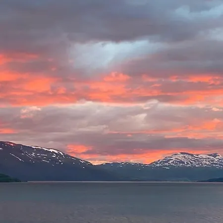 Northern Light * Ytre Tomasjord
