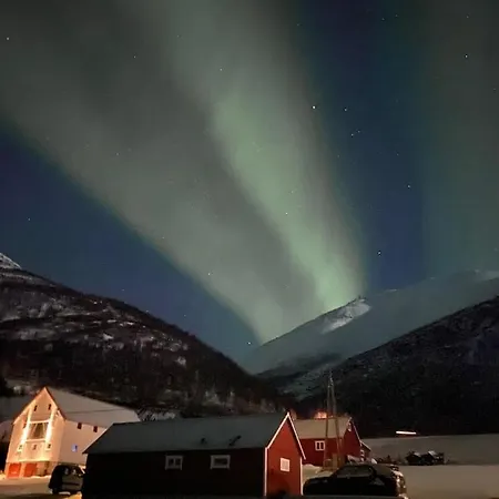 Northern Light Апартаменты