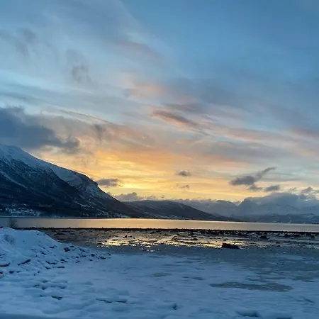 Northern Light Апартаменты *
